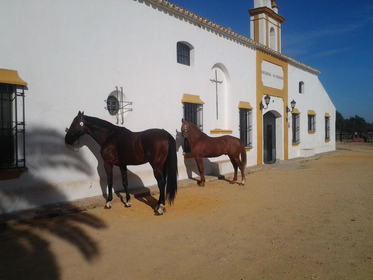 Hotel Hacienda La Indiana Los Palacios Y Villafranca Exterior foto